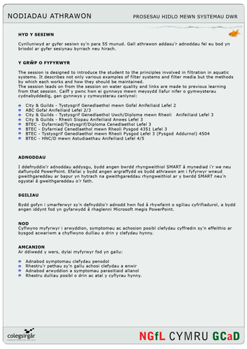 Astudiaethau Anifeiliaid