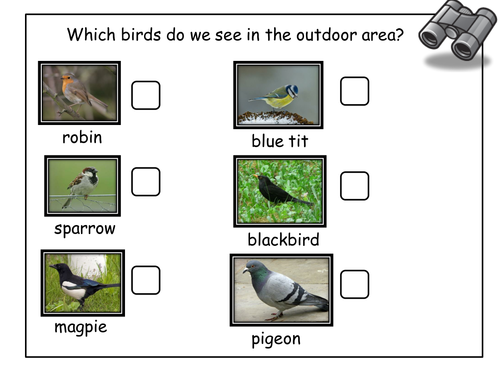 Bird watching checklist for outdoor area Teaching Resources