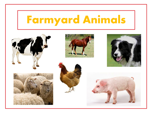 Lesson Plan - Farm animals - What labelling and advertising tells us by ...