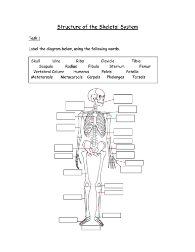 Extended Certificate in Sport - Tasks