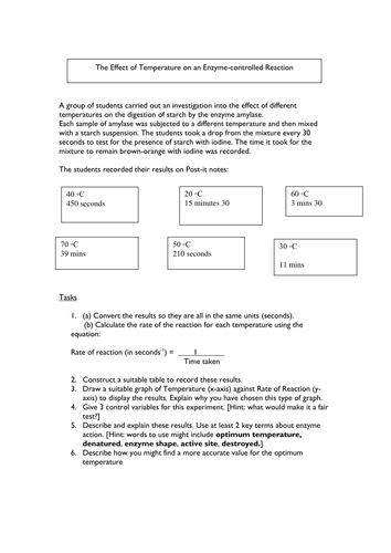 Enzymes: Temperature and Reaction Rate Worksheet