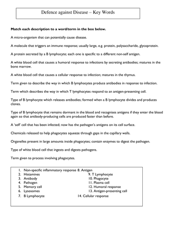 Immune System Key Words Worksheet By Harwooda Teaching Resources Tes