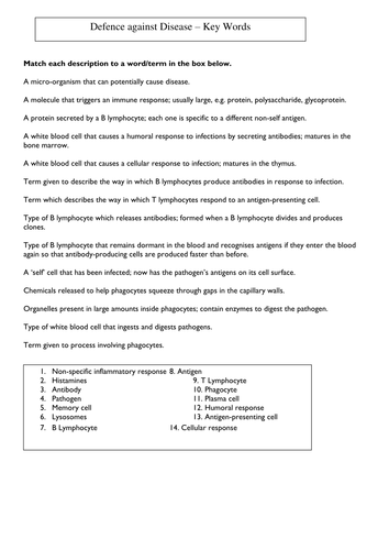 Immune System: Key Words Worksheet