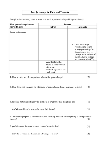 Adaptation: Gas Exchange Fish/Insects Worksheet | Teaching Resources