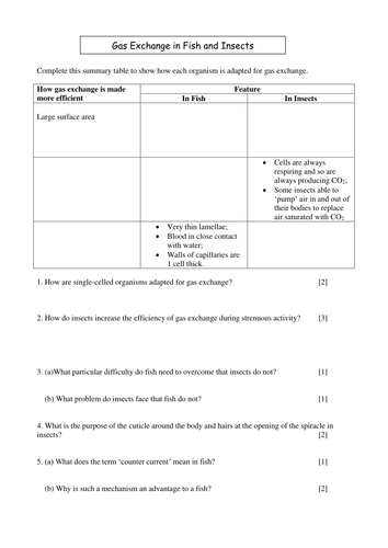 Adaptation: Gas Exchange Fish/Insects Worksheet