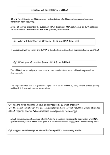 Small Interfering RNA
