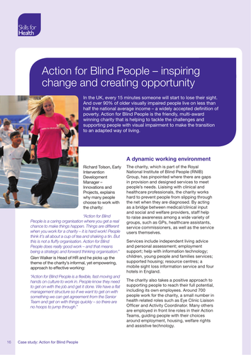 Action for Blind People Case Study