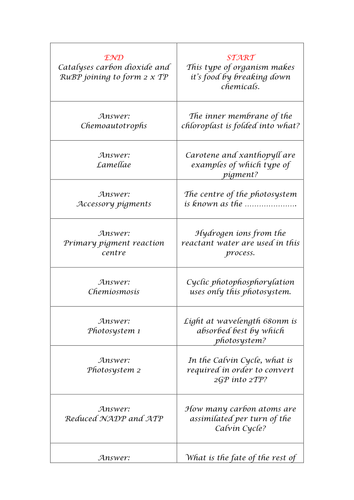 F214 Photosynthesis Revision Loop Game