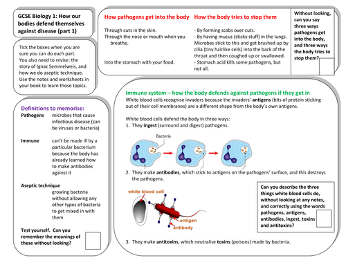 AQA B1 - Defence Against Disease revision notes