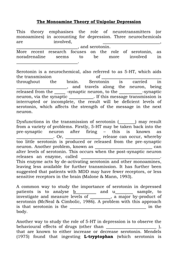 Fill in the Gaps for Monoamine Depression