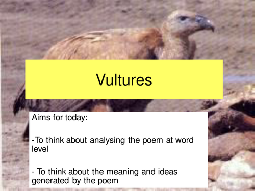 vultures poetry essay