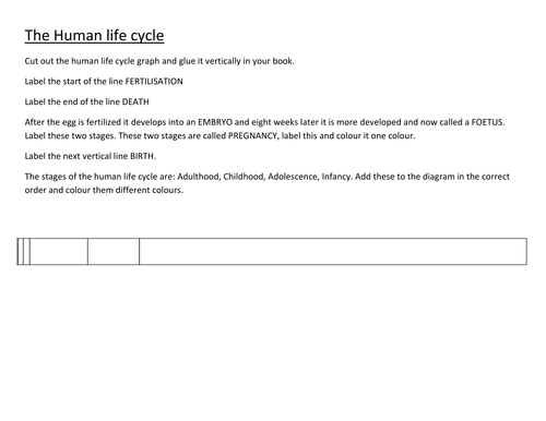 7B Human life cycle worksheet