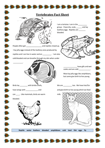 SEN classification worksheet.