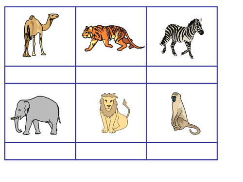 African animals matching and labelling