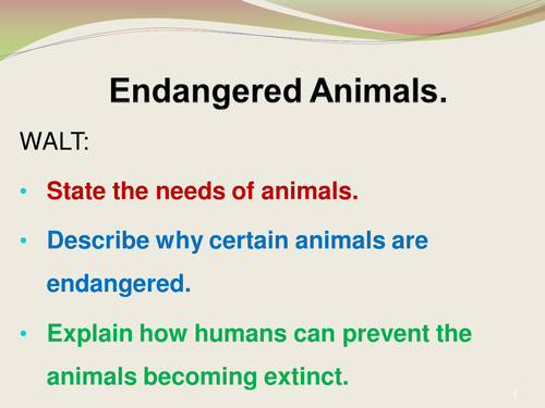 environment and animals