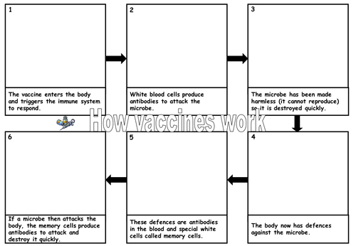 Vaccination flow chart