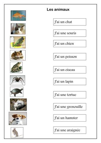 les animaux animals in french worksheet teaching resources