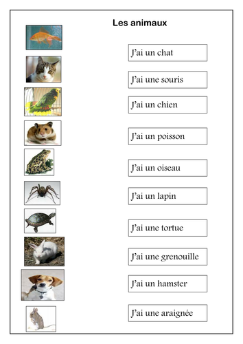 Les animaux / animals in French worksheet
