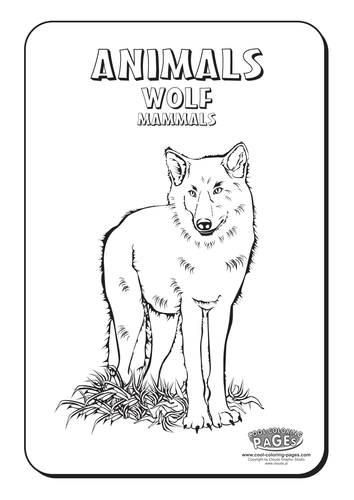 Cool Colouring Pages : Wolf