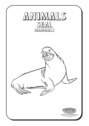 Cool Colouring Pages: Seal
