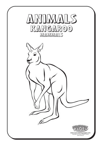 Cool Colouring Pages: Kangaroo