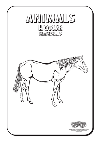 Cool Coloring Pages: Horse