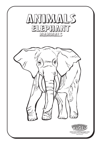 Cool Coloring Pages: Elephant