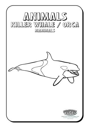 Cool Colouring Pages: Killer Whale Orca