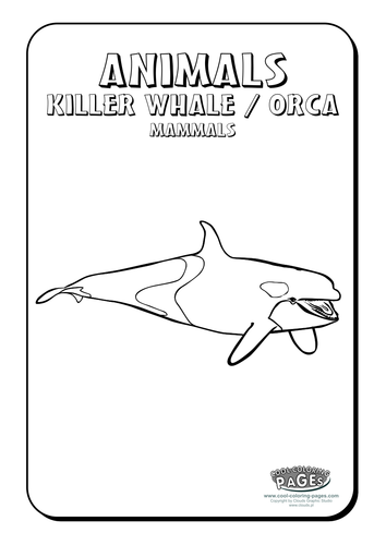 Cool Colouring Pages: Killer Whale Orca | Teaching Resources