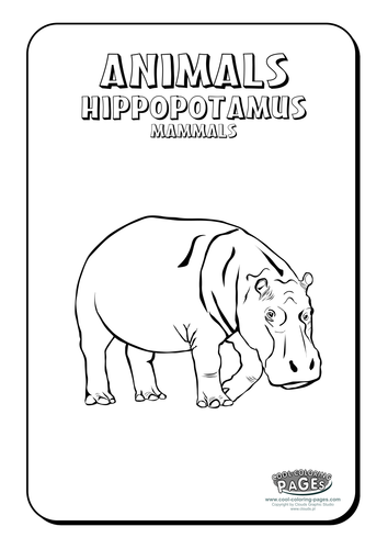 Cool Colouring Pages: Hippopotamus