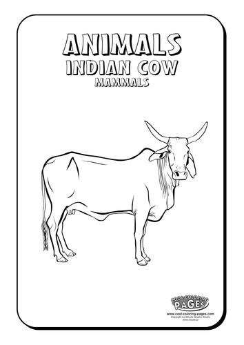 Cool Colouring Pages: Indian Cow