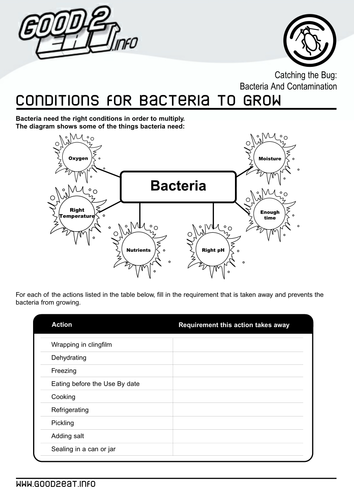 health and hygiene worksheets teaching resources