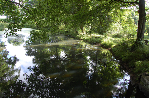 Canal History and Wildlife - Lock 19 Pond