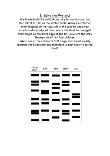 dna fingerprinting crime scene