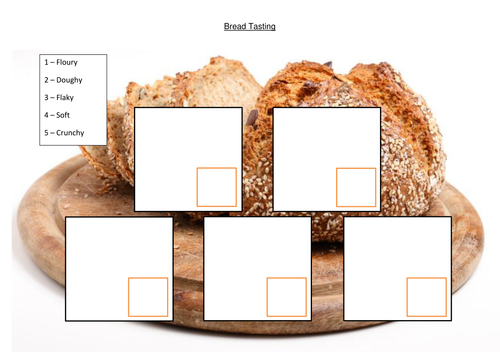 Bread tasting and scoring