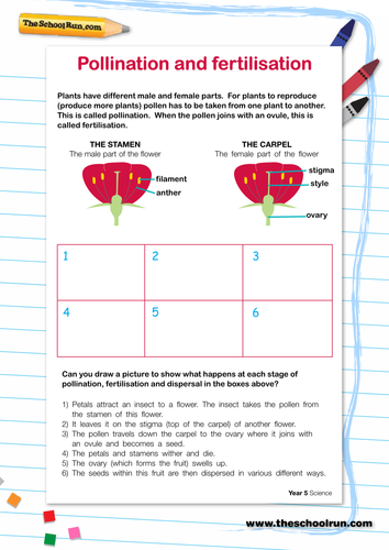 Pollination and fertilisation