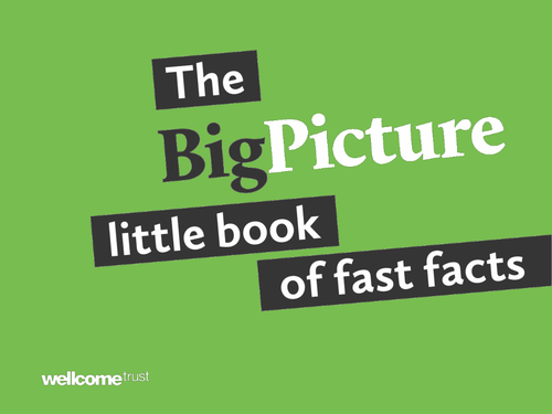 Big Picture Little Book of Fast Facts -PowerPoint