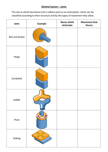 Joint Classifications Worksheet by sarahhaslop - Teaching Resources - Tes