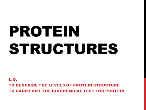 Protein Structure