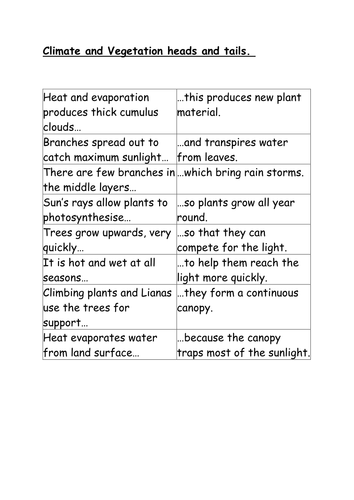 rainforest climate and vegetation heads and tails