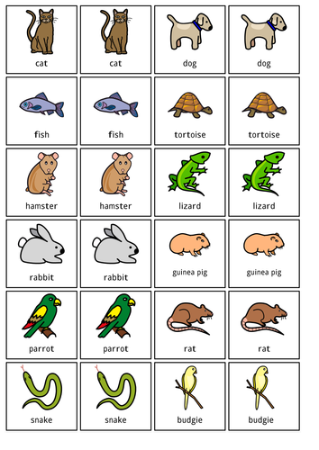 pairs-snap-games-widgit-teaching-resources