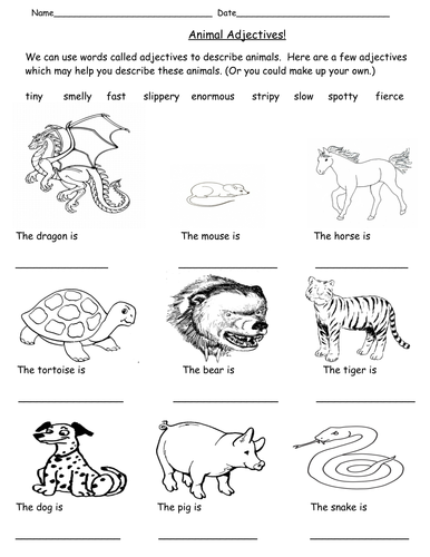 animal worksheet adjectives Adjectives! Teaching  Animal Resources MrsBourdon  by Tes