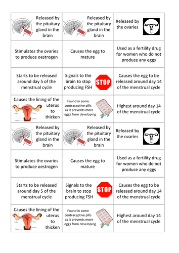 The menstrual cycle - activities | Teaching Resources