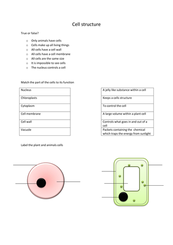 Cell structure | Teaching Resources
