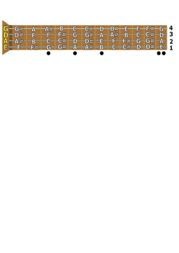 Bass Guitar fretboard layout