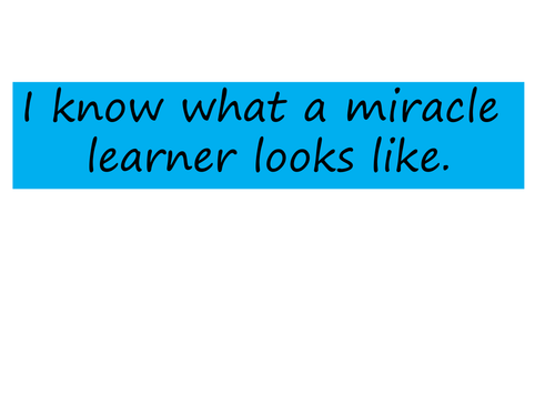 SEAL I know what a miracle learner looks like