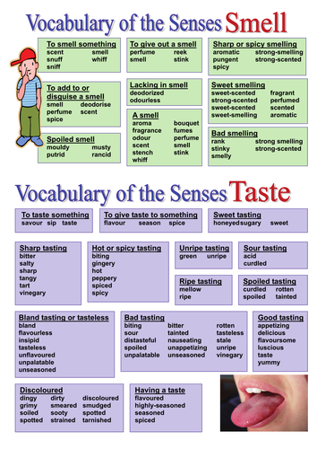 Vocabulary Of The Senses Smell And Taste Teaching Resources