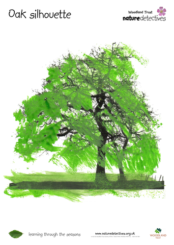 Trees - Tree Colours