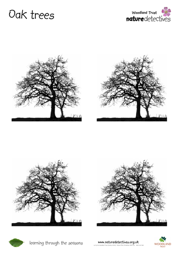 Trees - Tree Silhouettes