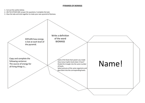 Make Your Own Pyramid of Biomass